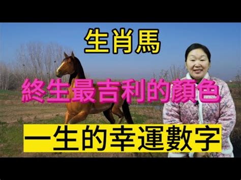 馬的幸運數字|生肖馬的幸運數字和顏色